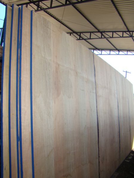 Compensado Naval: O Guia Completo para Escolher o Melhor Material; Assoalho Naval vs. MDF: Qual a Melhor Opção para Ambientes Úmidos e Cargas Pesadas?; Durabilidade e Aplicações do Compensado Naval: Tudo o que Você Precisa Saber; Como o Compensado Naval Revoluciona o Setor de Transportes e Construção Naval; Compensado Naval em Motorhomes e Containers: Vantagens e Dicas de Instalação