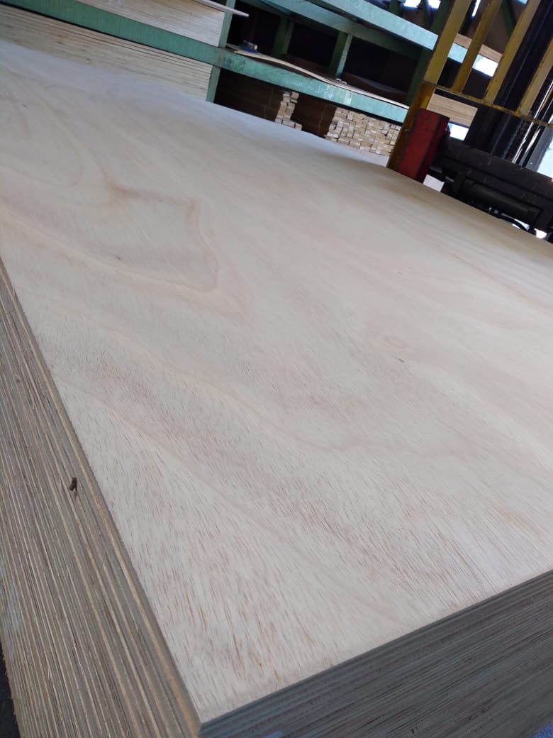 Compensado Naval: O Guia Completo para Escolher o Melhor Material; Assoalho Naval vs. MDF: Qual a Melhor Opção para Ambientes Úmidos e Cargas Pesadas?; Durabilidade e Aplicações do Compensado Naval: Tudo o que Você Precisa Saber; Como o Compensado Naval Revoluciona o Setor de Transportes e Construção Naval; Compensado Naval em Motorhomes e Containers: Vantagens e Dicas de Instalação