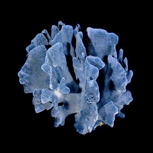 A psicologia das cores: o que o Azul Surreal diz sobre você?