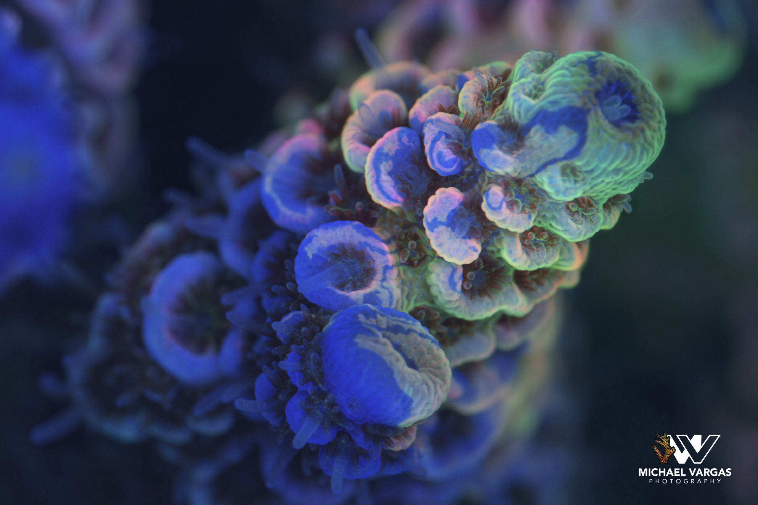 A psicologia das cores: o que o Azul Surreal diz sobre você?