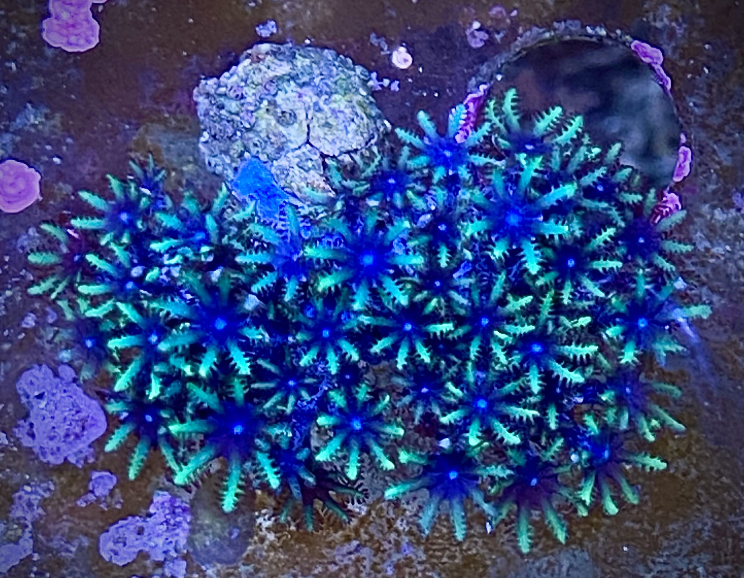 Onde usar o Azul Surreal: ambientes internos e externos