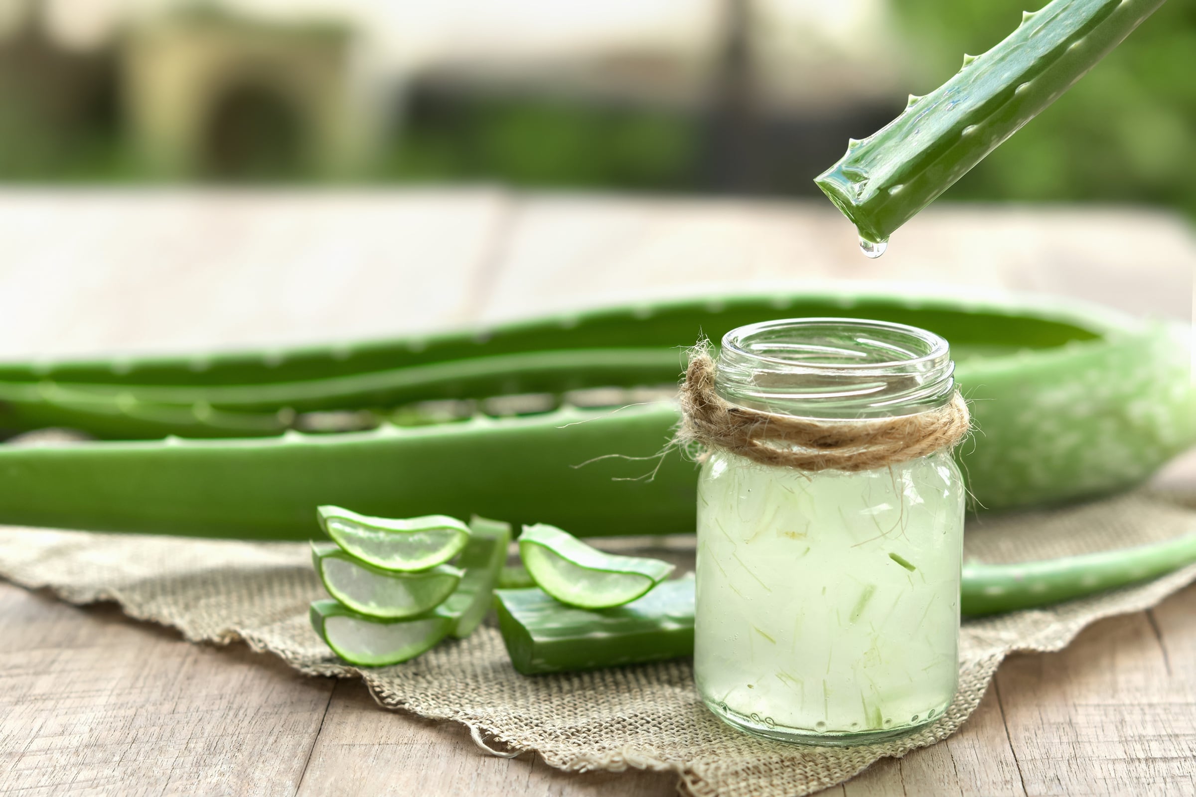 babosa natural ou produtos com aloe vera