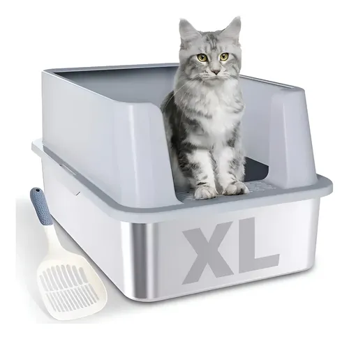 banheiro gato fechado