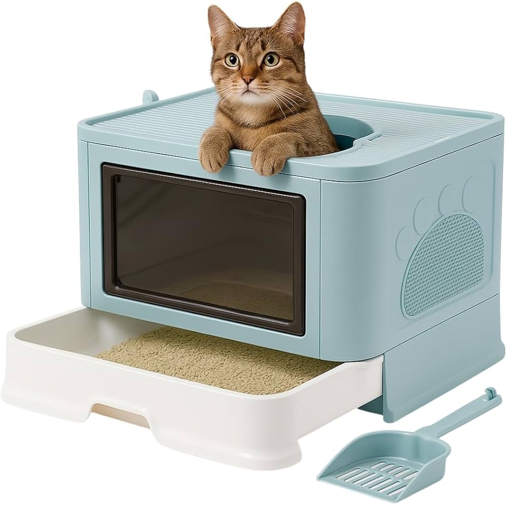 erros ao escolher caixa de areia fechada para gato