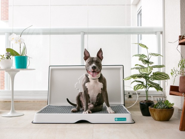 banheiro inteligente para cachorro
