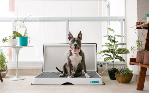 Guia Completo: Como Adaptar Seu Cão ao Banheiro Inteligente Weasy