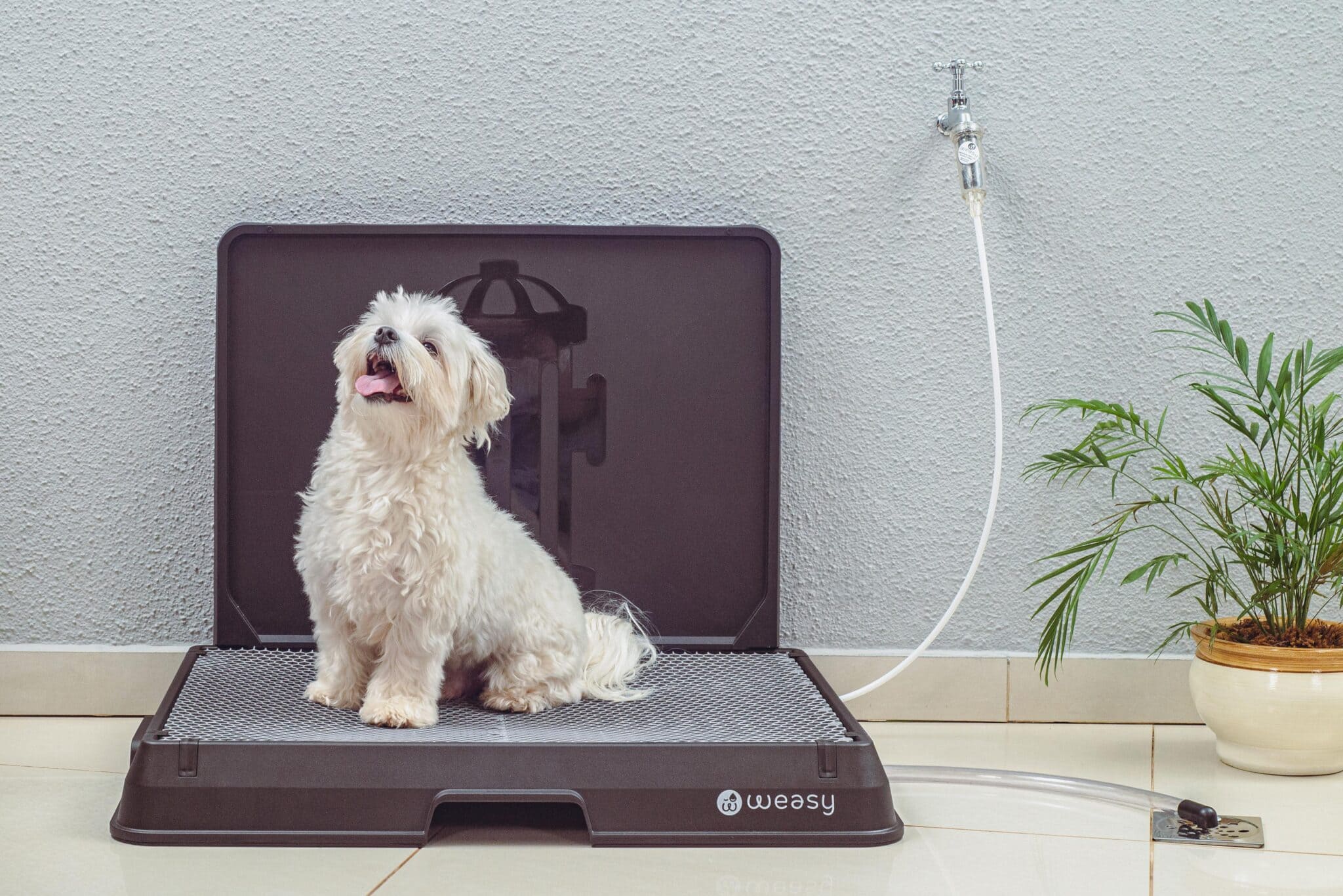 Weasy Bag: Tudo Sobre o Reservatório Ecológico para Urina de Cães