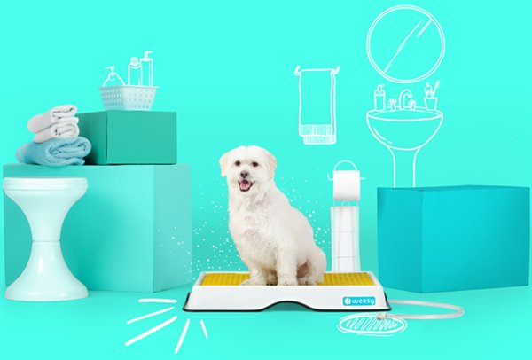 Limpeza e Manutenção do Weasy: Dicas Essenciais para Evitar Odores