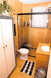 piso porcelanato ou ladrilho hidraulico banheiro retro