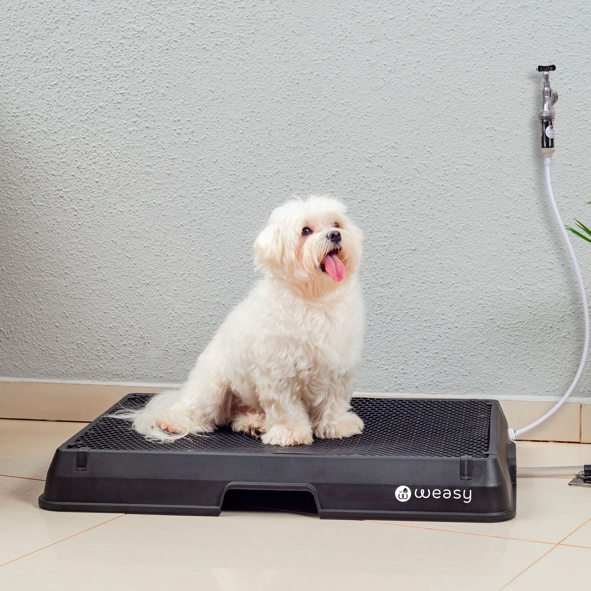 banheiro weasy vs tapete higiênico tradicional