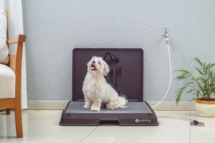 custo benefício banheiro weasy a longo prazo