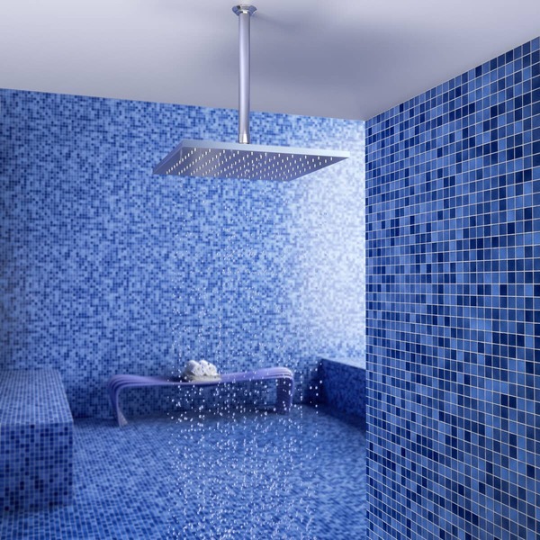 Banheiros com chuveiro de teto