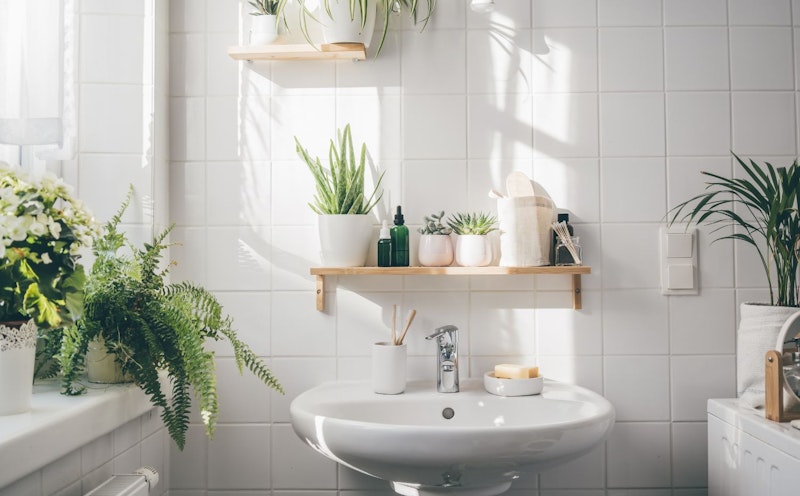 como decorar um banheiro pequeno com tema de selva tropical