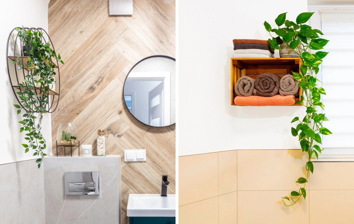 plantas para banheiro com pouca luz vs banheiro com janela