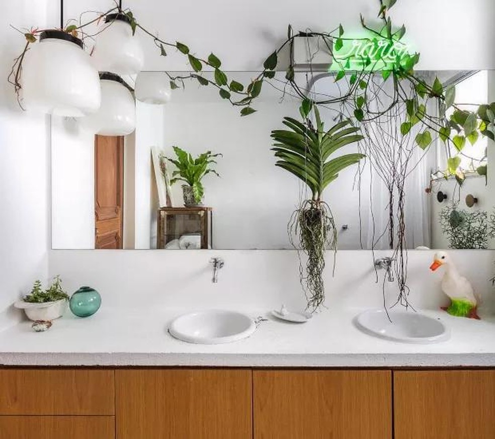 ideias de decoração banheiro com plantas pequenas
