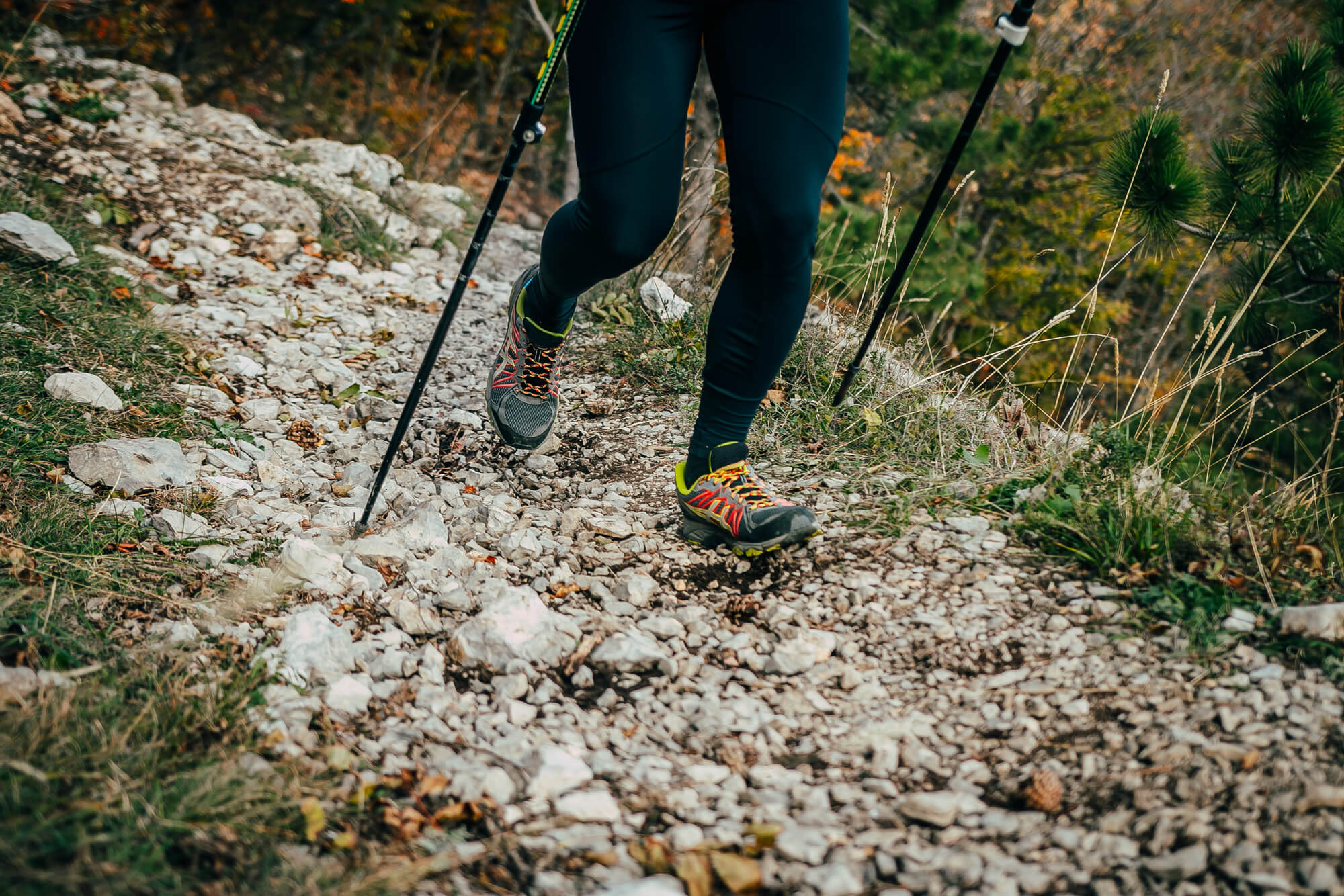 Os Benefícios Inesperados do Bastão de Trekking para a Saúde das Articulações