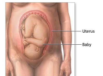 bebe encaixado com 34 semanas