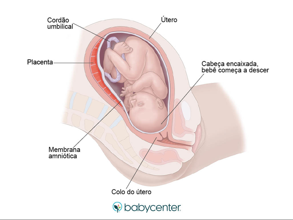 Mudanças físicas e desconfortos comuns com o bebê encaixado