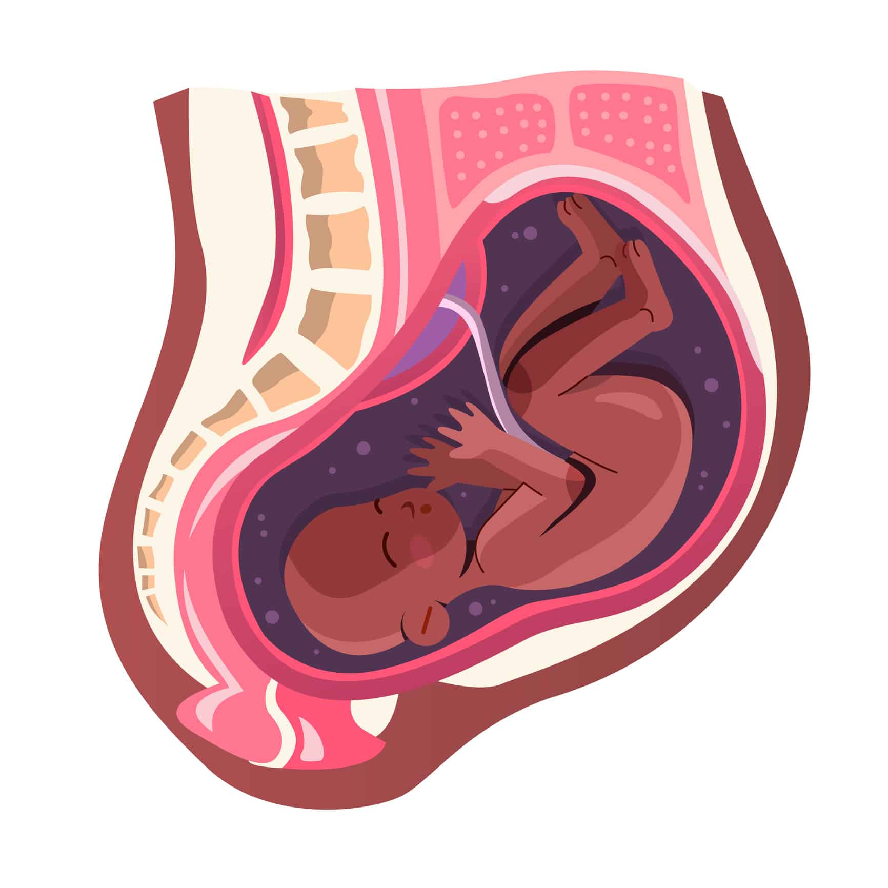 1. O Que Fazer Quando o Bebê Está Pélvico: Guia Completo
2. Displasia do Quadril: Entenda a Ligação com o Bebê Pélvico
3. Técnicas Seguras para Ajudar o Bebê a Virar na Gravidez
4. Parto Pélvico: Riscos e Alternativas para a Mamãe e o Bebê
5. Quando a Cesariana é a Melhor Opção para Bebê Pélvico?