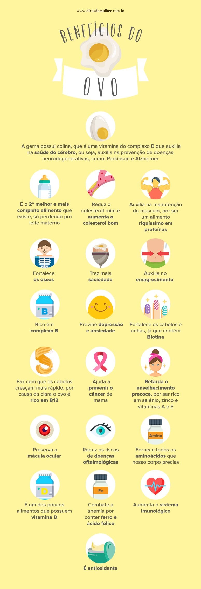 Além da Proteína: Todos os Benefícios do Ovo para Sua Imunidade e Visão