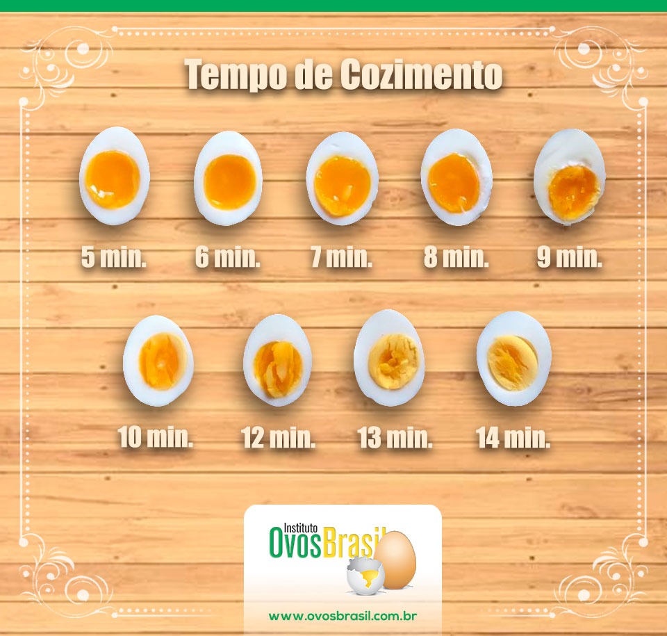 Desvendando os Mitos do Ovo: Colesterol, Gema e Clara