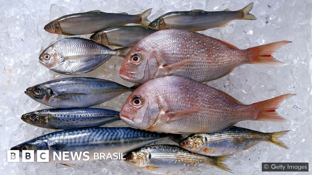 5 ideias de títulos:
1. Os Incríveis Benefícios do Peixe para a Saúde: Um Guia Completo
2. Ômega-3 e Mais: Descubra Por Que Você Deve Comer Peixe 3 Vezes por Semana
3. Peixes Gordos vs. Magros: Qual a Melhor Escolha para Sua Dieta?
4. Preparo Saudável de Peixes: Evite Frituras e Maximize os Nutrientes
5. Peixe na Gravidez e para Crianças: Benefícios Essenciais para o Desenvolvimento