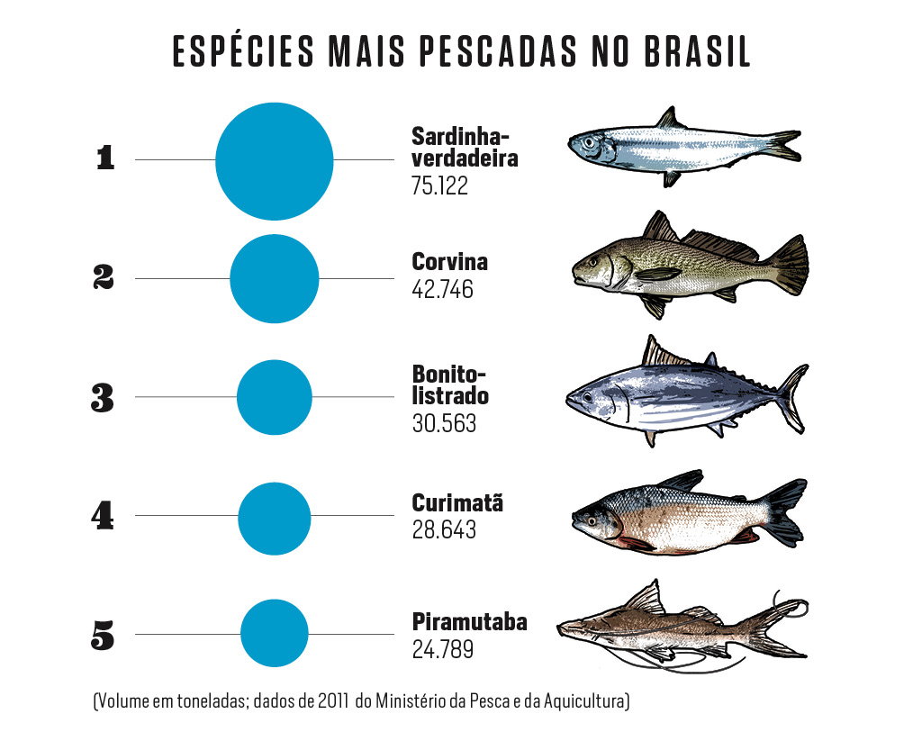 5 ideias de títulos:
1. Os Incríveis Benefícios do Peixe para a Saúde: Um Guia Completo
2. Ômega-3 e Mais: Descubra Por Que Você Deve Comer Peixe 3 Vezes por Semana
3. Peixes Gordos vs. Magros: Qual a Melhor Escolha para Sua Dieta?
4. Preparo Saudável de Peixes: Evite Frituras e Maximize os Nutrientes
5. Peixe na Gravidez e para Crianças: Benefícios Essenciais para o Desenvolvimento