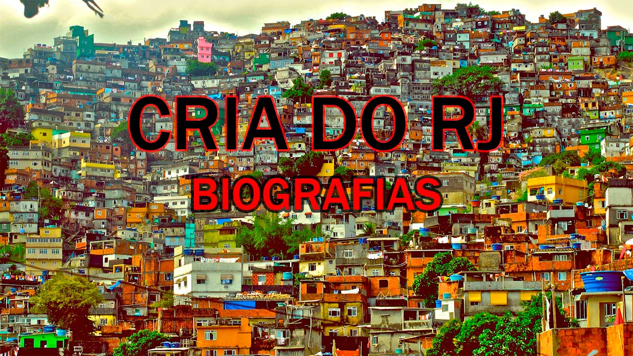 bio para instagram feminina