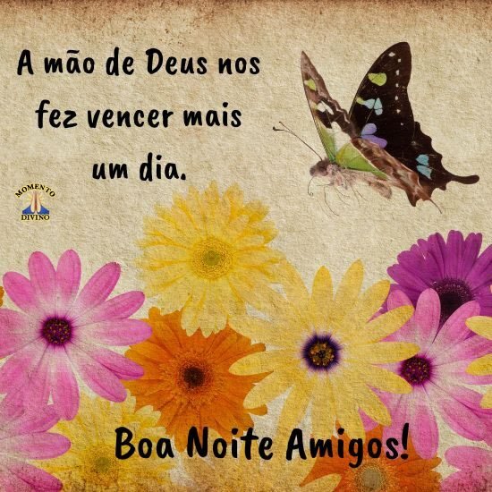 mensagem carinhosa de boa noite amiga
