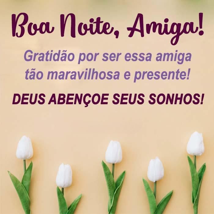 status boa noite amiga