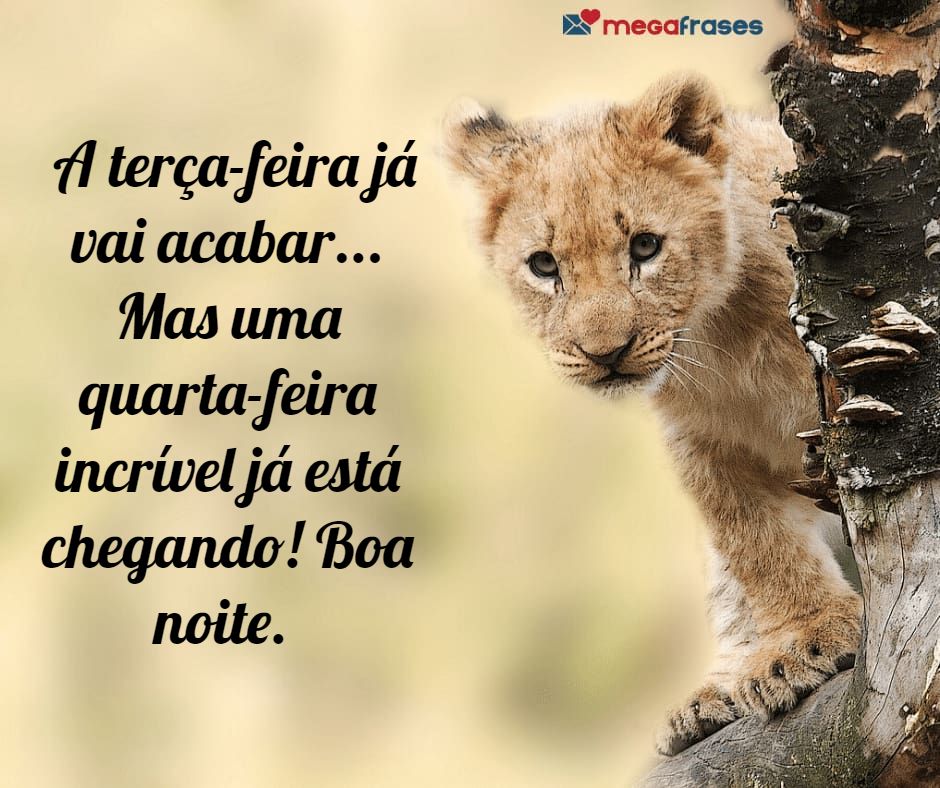 o que enviar na terça à noite