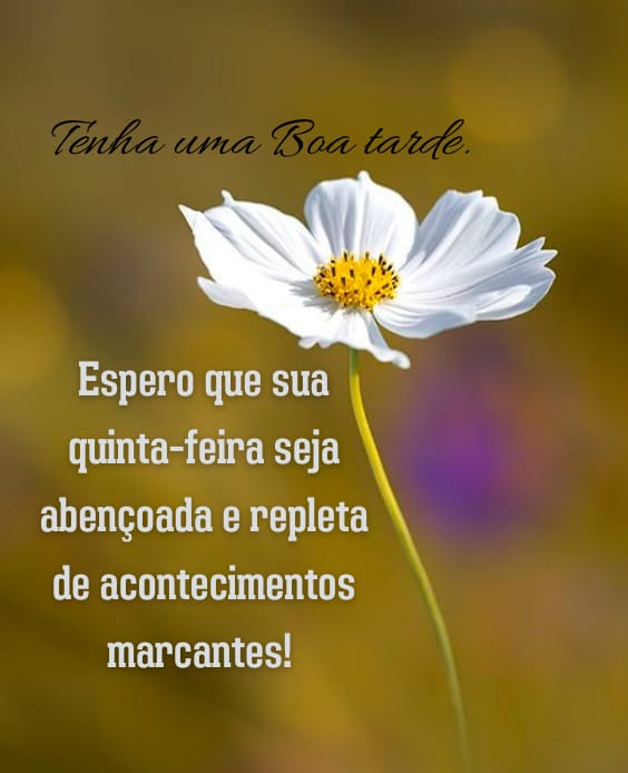 frases inspiradoras para quinta à tarde