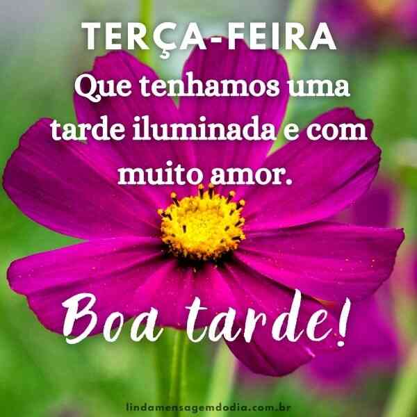 frases de boa tarde para terça-feira