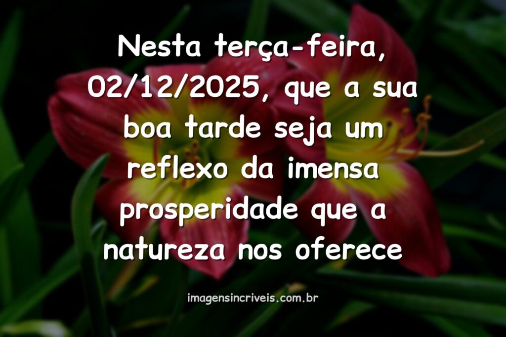 mensagens positivas terça