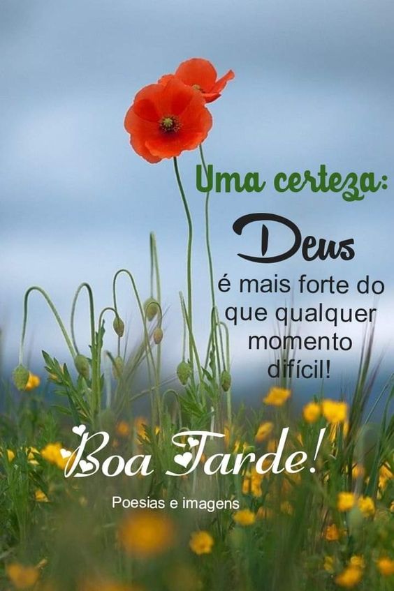 motivação para a tarde de terça