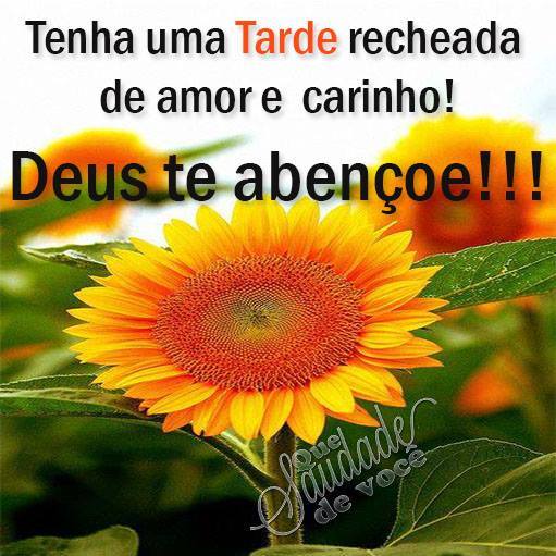 inspiração boa tarde terça