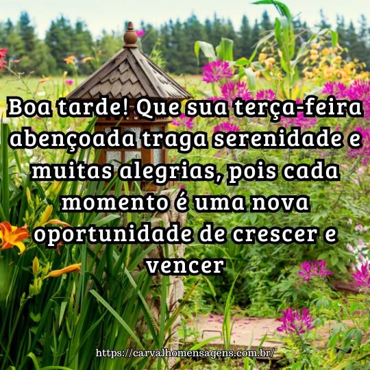 terça-feira de paz