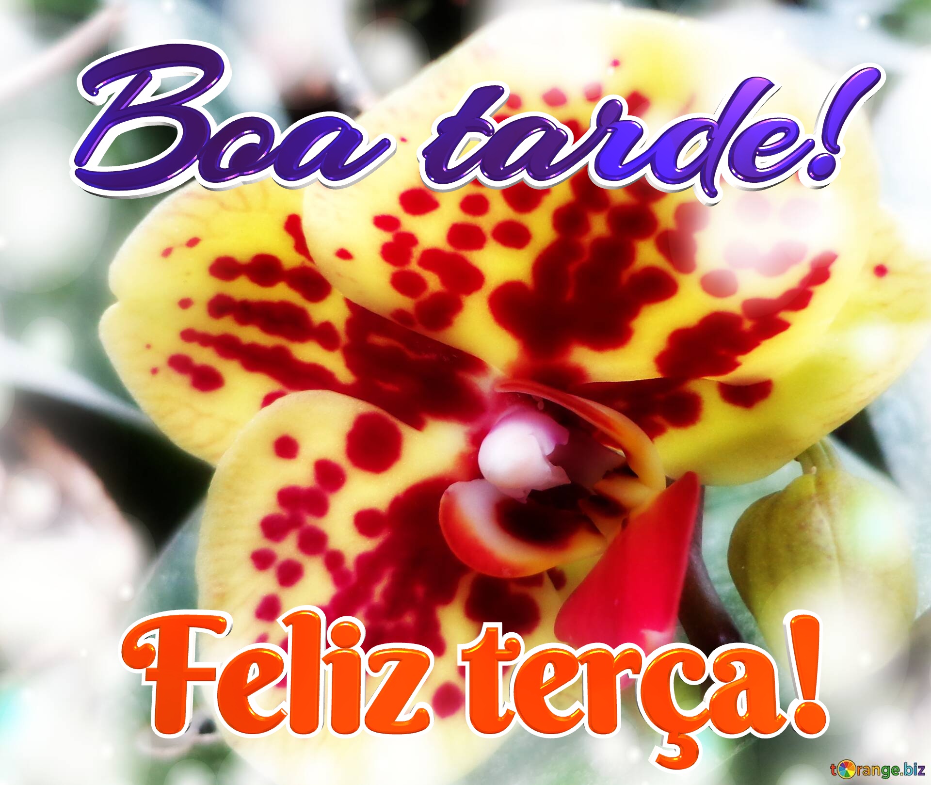 frases de boa tarde para terça-feira