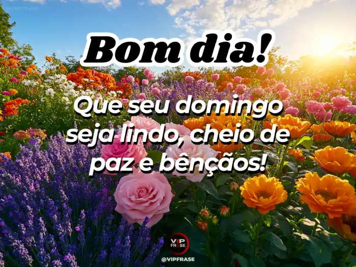 mensagens inspiradoras de bom dia domingo abençoado