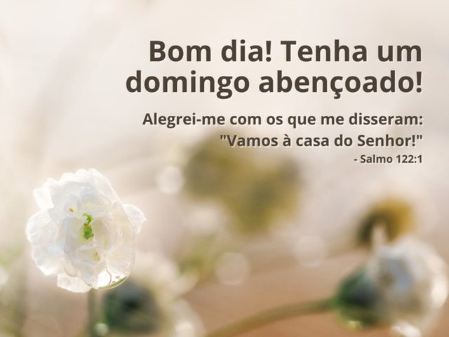 erros comuns ao desejar bom dia de domingo