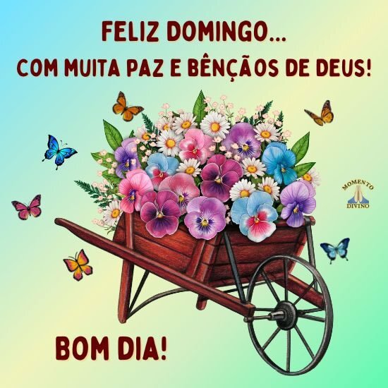 bom dia domingo abençoado