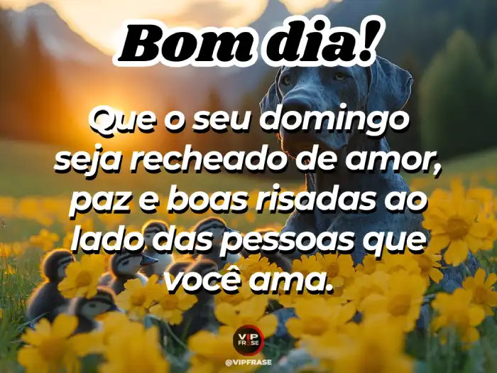 bom dia de domingo com alegria