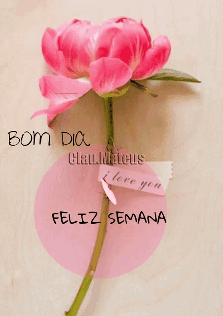 feliz sábado e bom final de semana