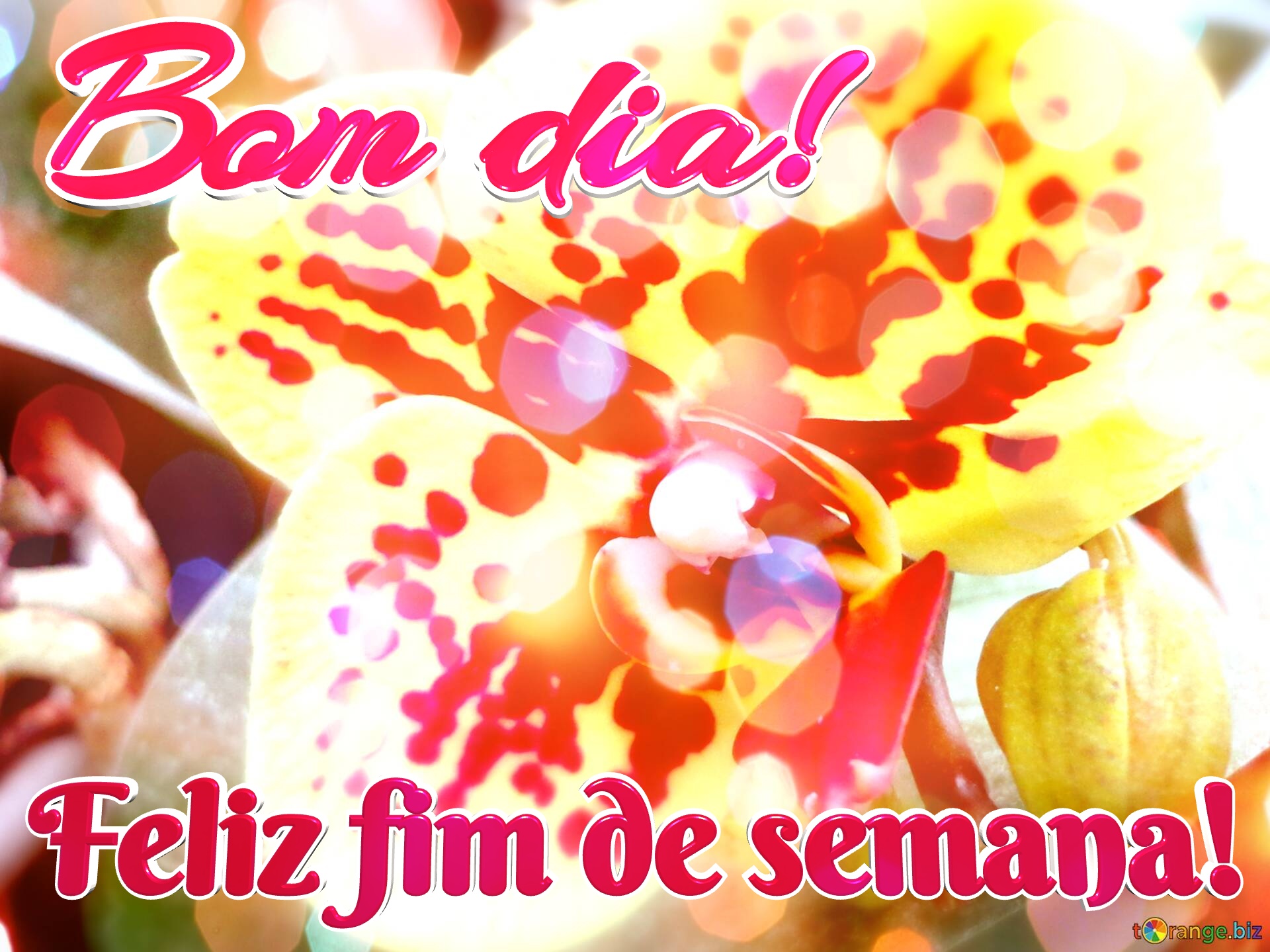 receitas práticas para o fim de semana