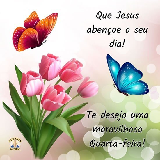 bom dia quarta-feira de paz