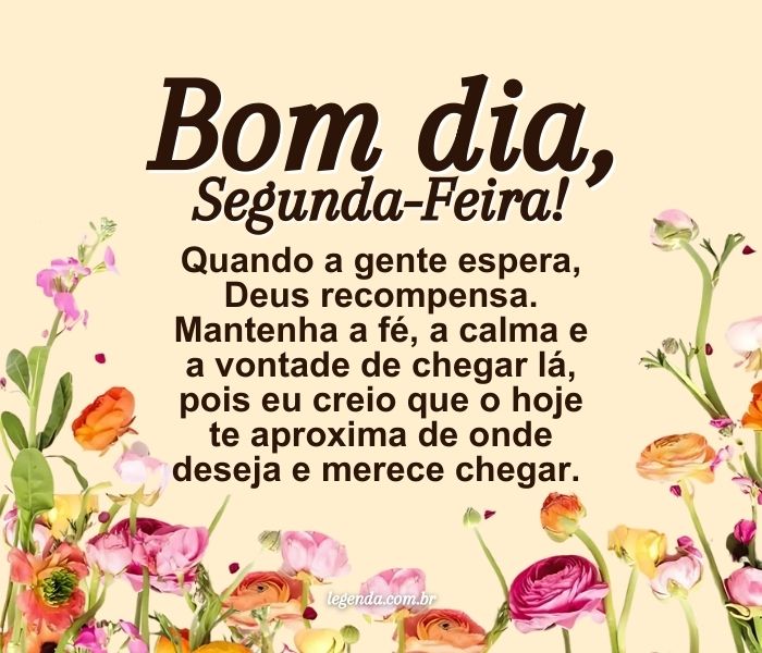 bom dia segunda feira de paz