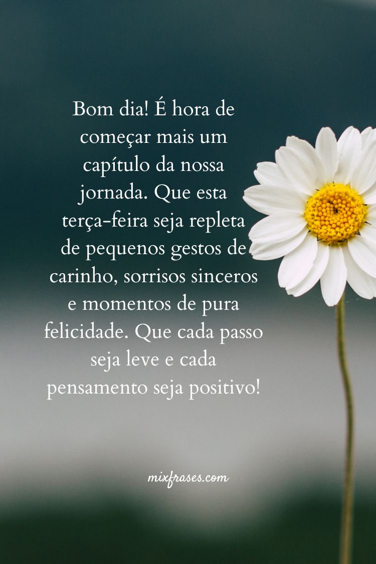 custo de uma terça-feira diferente e como economizar