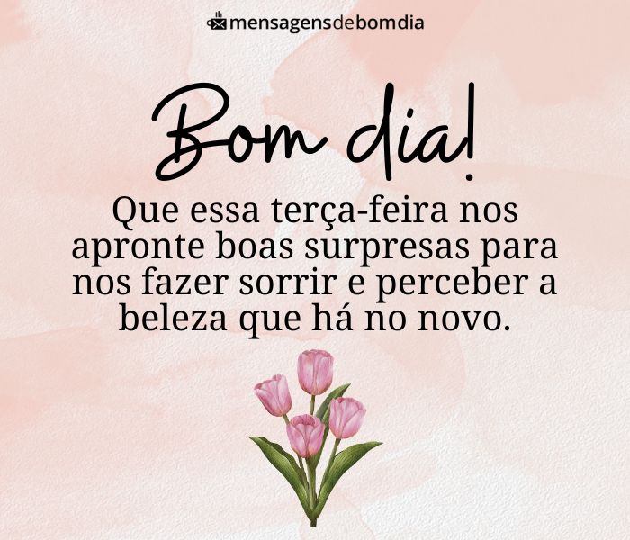 terça-feira comum vs terça-feira diferente qual escolher