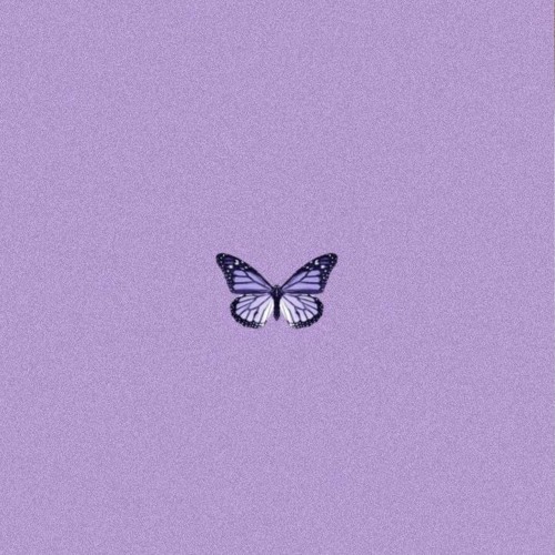 Borboleta roxa para topo de bolo