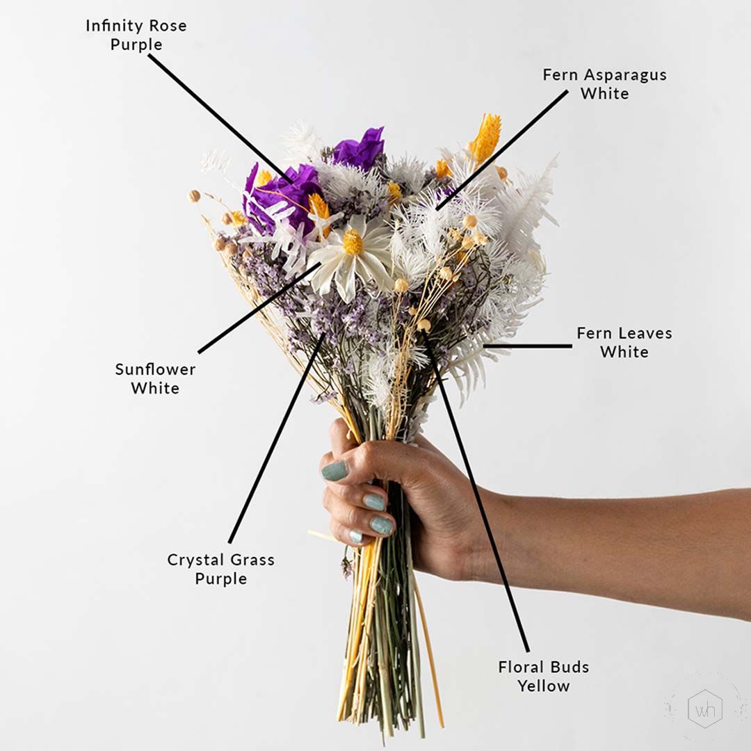 Os Melhores Tipos de Flores Roxas para Cada Ocasião